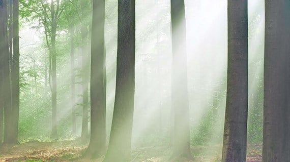 Naturliga köldmedier och Flourerande gaser (F-gaser)