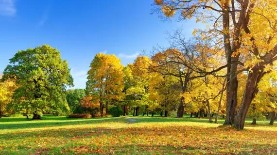 Energiingenjör  Södertälje